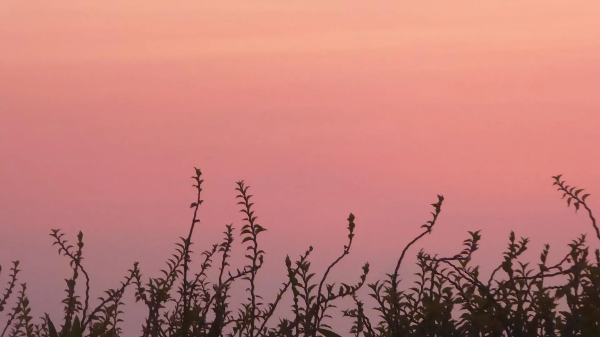 Bali Luxe Villa Beachfront Rooftop Sunsets Canggu 0*,
