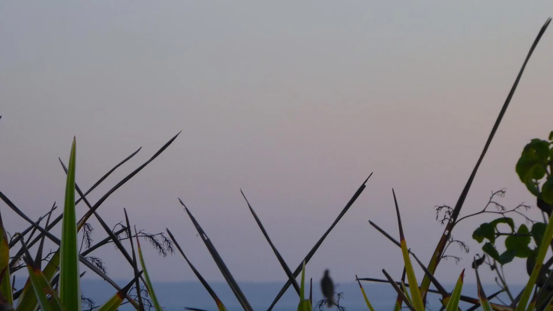 Bali Luxe Villa Beachfront Rooftop Sunsets Canggu