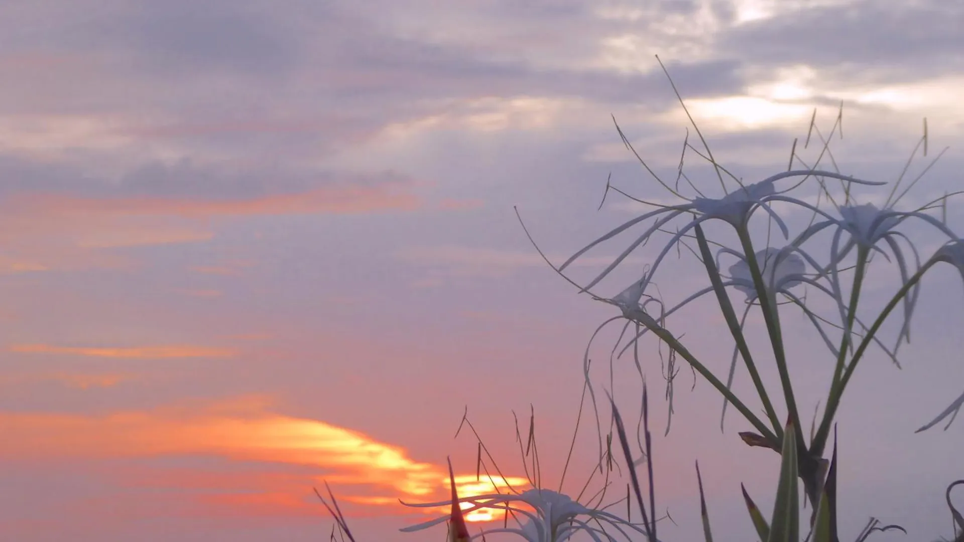 Bali Luxe Villa Beachfront Rooftop Sunsets Canggu