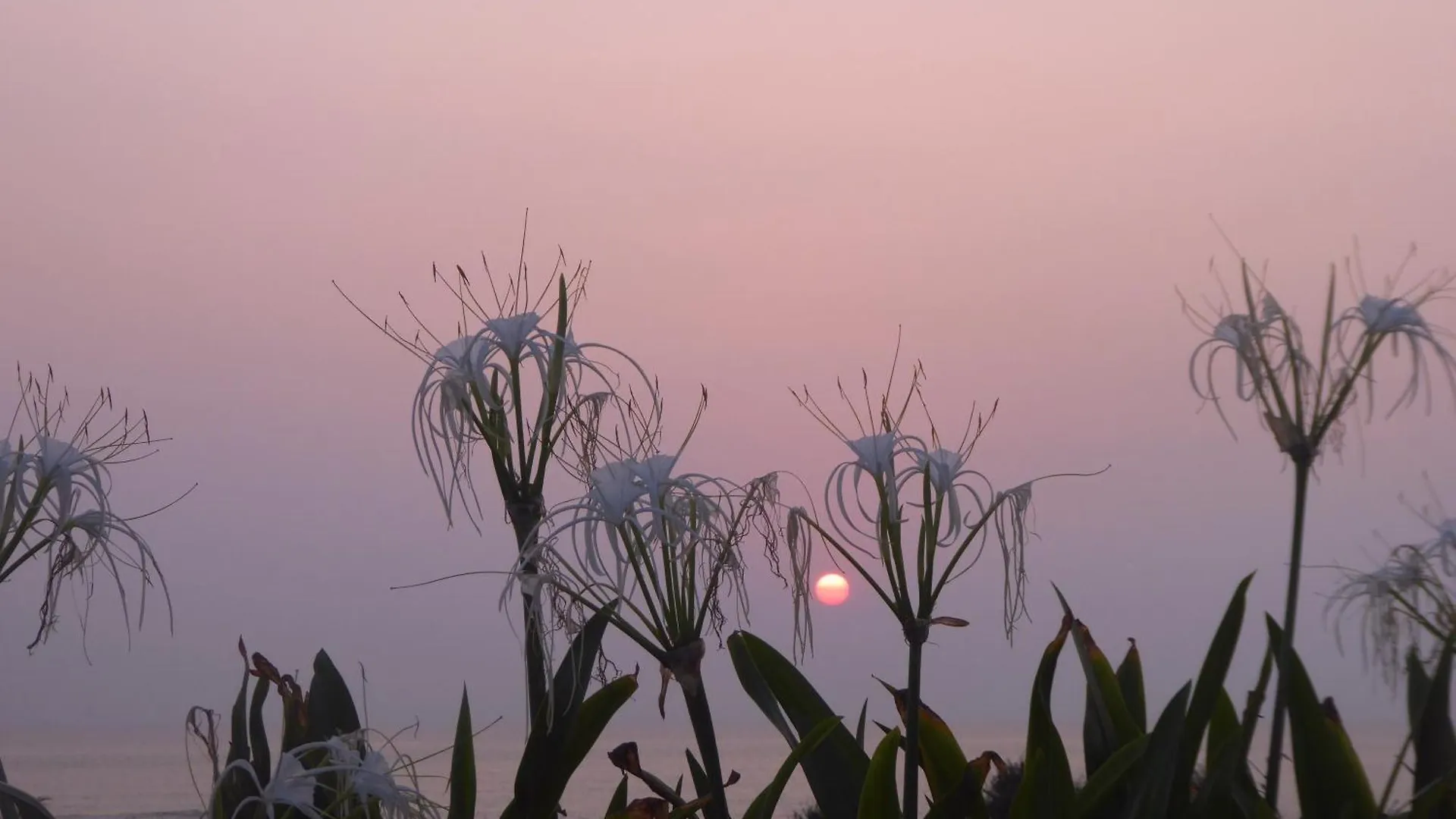 Bali Luxe Villa Beachfront Rooftop Sunsets Canggu Indonesien